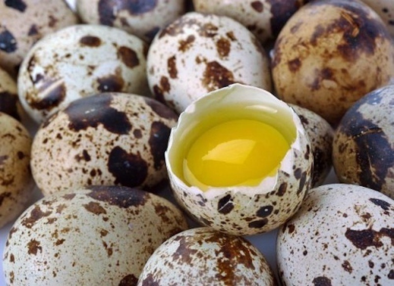 Nhiều nghiên cứu cũng chỉ ra rằng trứng cút có thể giúp cải thiện hệ miễn dịch, hỗ trợ điều trị dị ứng (nhờ một loại protein đặc biệt) và tốt cho sức khỏe của da và tóc.