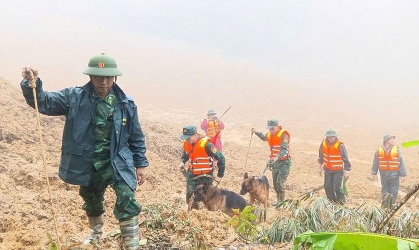 Ngoài ra, chó nghiệp vụ cũng được đưa vào hiện trường để tìm kiếm nạn nhân bị vùi lấp dưới lớp đất đá và bùn nhão, nơi các phương tiện cơ giới khó tiếp cận.