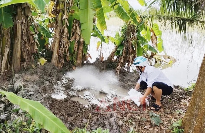 Tiêu hủy số thịt heo bị nhiễm dịch tả lợn châu Phi. Ảnh: Pháp luật TP.HCM