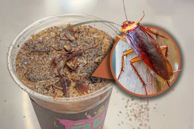 Thức uống lạ mắt này không chỉ mang đến trải nghiệm mới mà còn trở thành chủ đề bàn tán sôi nổi trên các nền tảng mạng xã hội. Ảnh: Weibo.