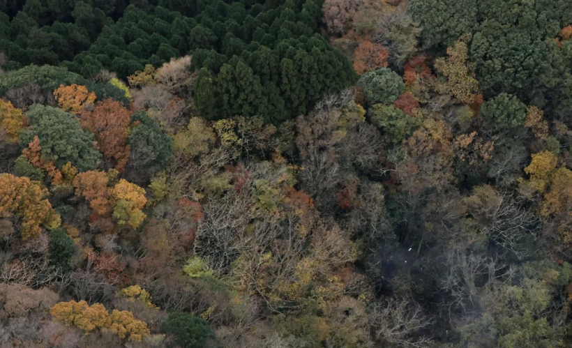 Trực thăng cứu hộ tới nơi chiếc máy bay hạng nhẹ bị rơi ở Yame, tỉnh Fukuoka, ngày 19/11/2025 (Ảnh: Kyodo)