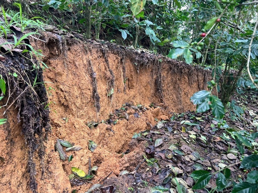 Vết nứt chạy dài tại thôn Đường Mới (xã D'ran) buộc phải di dời nhiều hộ dân. Ảnh: Dân trí