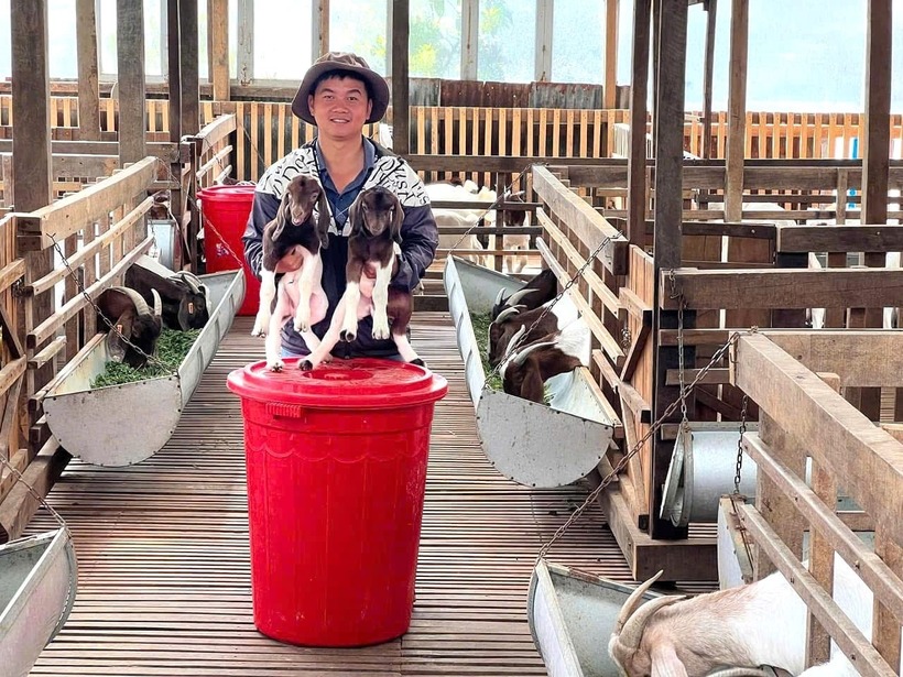 Dược sĩ Vũ Quang Chính trong trại dê Boer. Ảnh: Báo Lâm Đồng