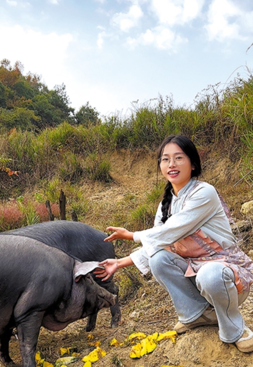 Tôn Song Song bên đàn lợn. Ảnh: China Daily