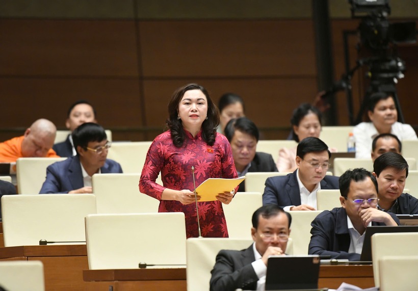ĐBQH Đặng Bích Ngọc (Ảnh: Media Quốc hội).