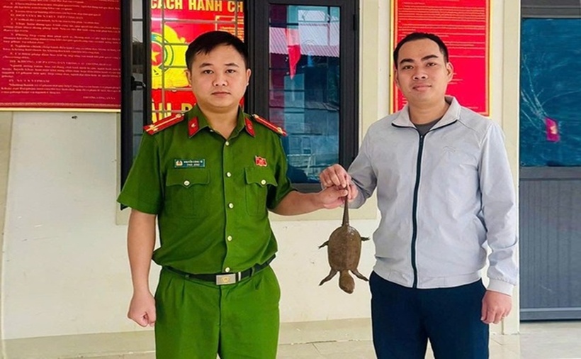 Người dân giao nộp cá thể rùa đầu to cho Công an xã Nhôn Mai. (Ảnh: SK&ĐS)