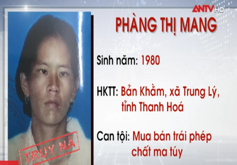 Truy nã "nữ quái" Phàng Thị Mang. (Ảnh: ANTV)