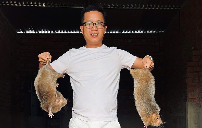 Anh Huỳnh Văn Hiếu bỏ phố về quê để nuôi dúi. Ảnh: VietNamnet