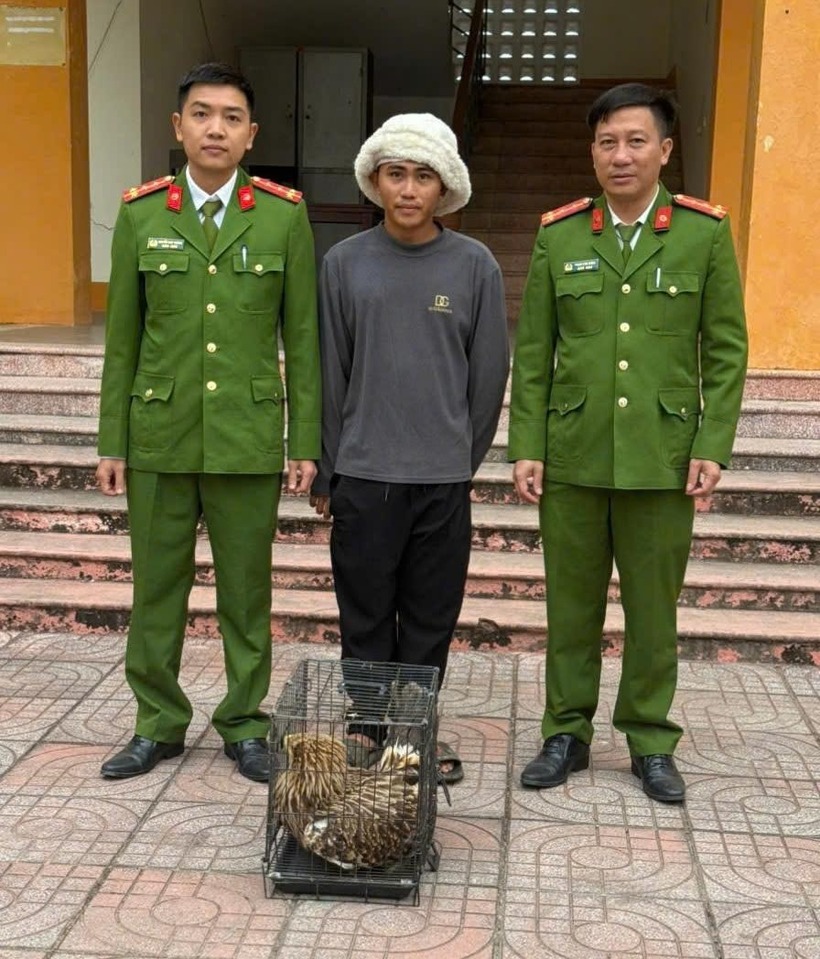Anh Nguyễn Viết Quân tự nguyện giao nộp cá thể chim đại bàng đầu nâu cho cơ quan chức năng xã Thuần Trung. Ảnh: Lao động