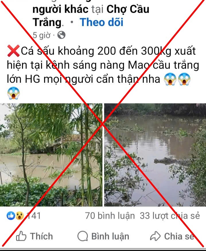 Bác bỏ thông tin xuất hiện con cá sấu nặng 200-300kg bơi dưới kênh xáng Nàng Mau ở Cần Thơ. (Ảnh: Dân trí)