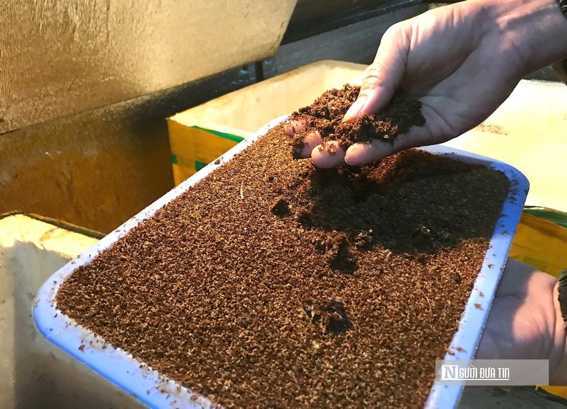 Nhiệt độ lý tưởng cho dế phát triển là từ 28-30°C, chuồng nuôi phải khô ráo, thoáng mát, tránh ánh nắng trực tiếp.