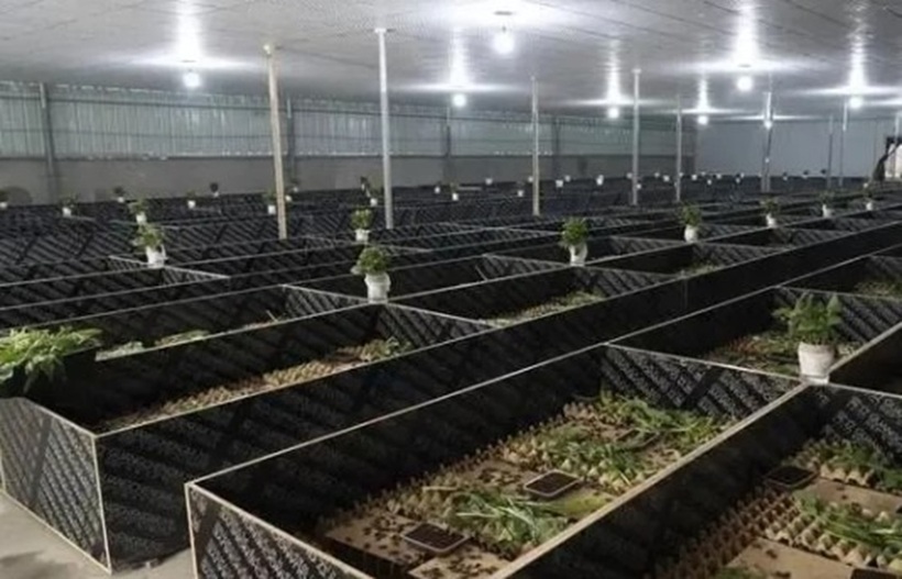 Tính đến cuối năm 2023, tổng thu nhập của Du Hào đã vượt mốc 8 triệu nhân dân tệ (tương đương 27,7 tỷ đồng).