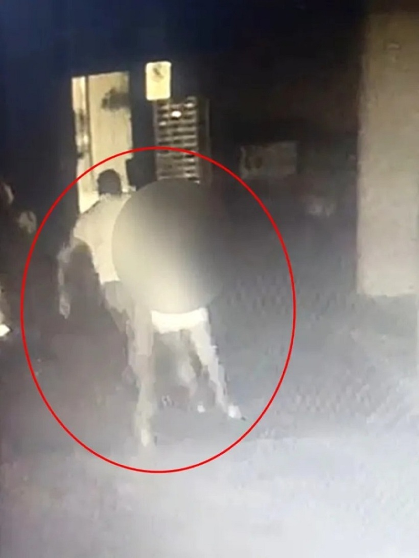 Hình ảnh ghi lại sự việc. Ảnh:  Estadao