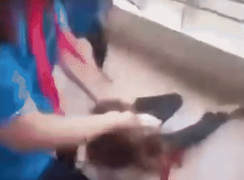 Hình ảnh nữ sinh bị túm tóc kéo lê trên sàn. Ảnh: ZNews