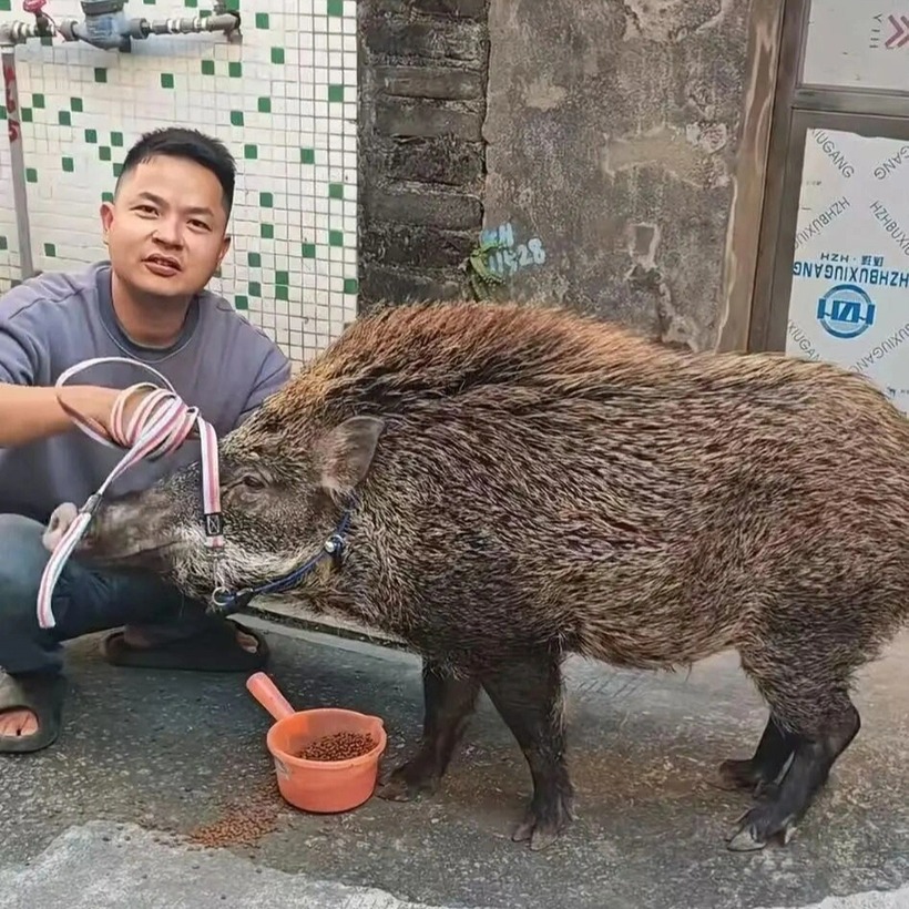 Có người trả giá cao để mua lại con vật, nhưng anh La từ chối. Ảnh: News