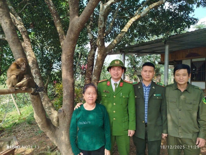 Gia đình bà Hiên bàn giao cá thể khỉ đuôi lợn cho lực lượng chức năng. Ảnh: Người lao động