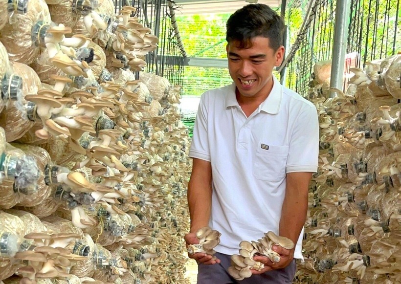 Anh Hồ Hoàng Hiếu tại cơ sở trồng nấm. Ảnh: Tiền phong