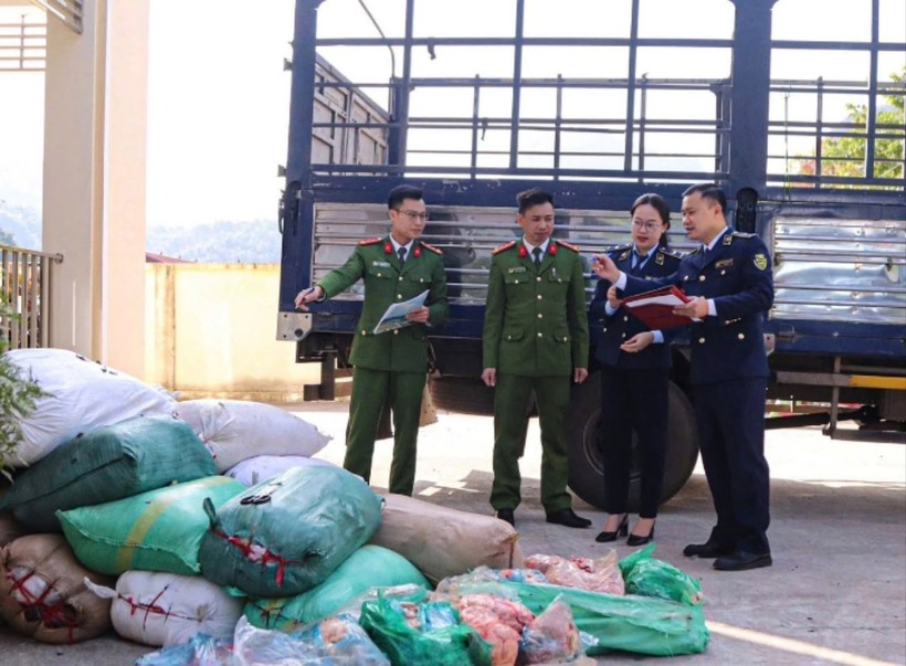 Lực lượng chức năng tỉnh Sơn La bắt giữ 2,3 tấn nội tạng không rõ nguồn gốc. (Ảnh: Tiền phong)