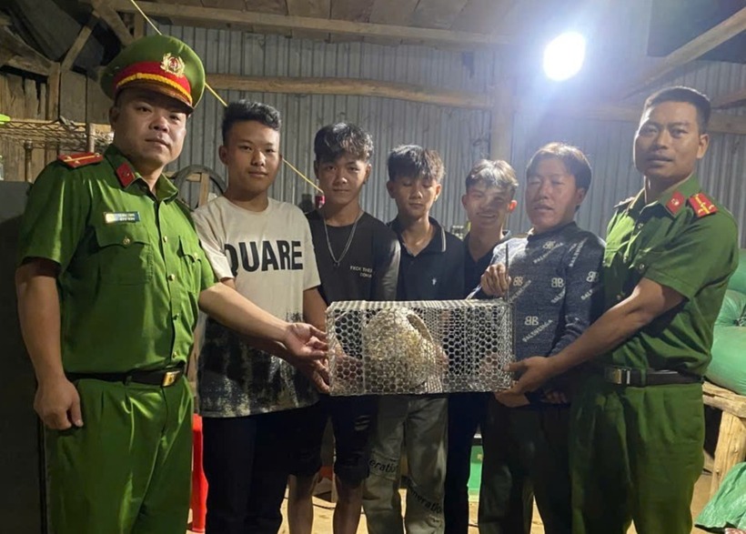 Nhóm thanh niên phát hiện cá thể Tê tê bò ở đường. Ảnh: Dân Trí
