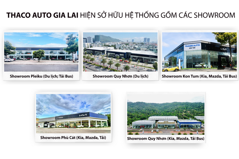 THACO AUTO Gia Lai: Tận tâm phục vụ Quý Khách hàng - 1