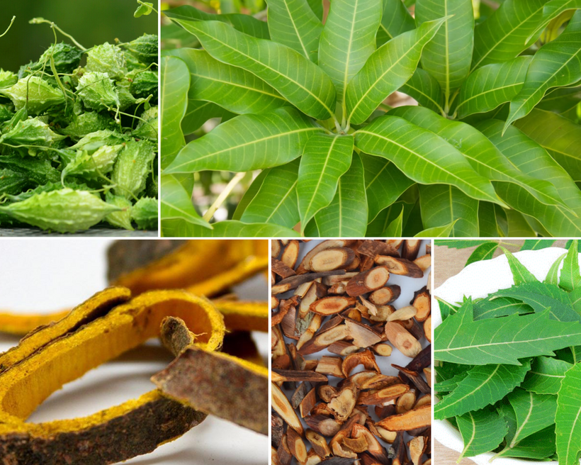 Thảo dược hiệu quả hỗ trợ giảm mờ mắt cho người tiểu đường