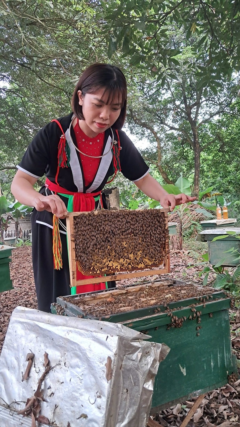 Thừa kế nghề nuôi ong “cha truyền con nối”, chị Phạm Hồng Oanh không chỉ giữ gìn “gia tài” của thế hệ trước mà còn mạnh dạn áp dụng kỹ thuật chăn nuôi khoa học, kiểm soát đàn ong hiệu quả. Ảnh: Dân Việt