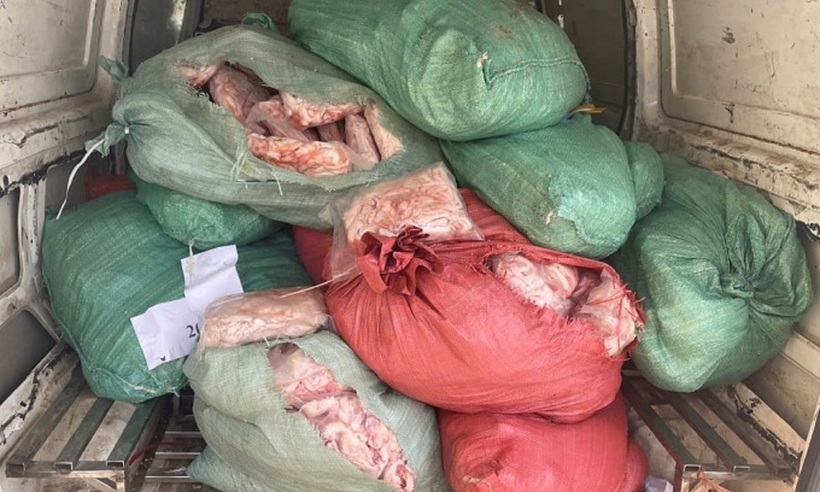 800kg chân gà bốc mùi, không có hóa đơn chứng từ bị phát hiện tại Hà Nội. Ảnh: DMS