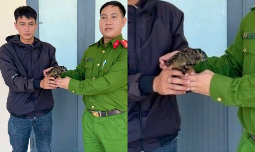 Người dân giao nộp động vật hoang dã quý hiếm cho cơ quan Công an. (Ảnh: Công an tỉnh Lâm Đồng)