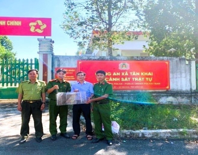 Cá thể tê tê đã được bàn giao về Vườn quốc gia Bù Gia Mập. Ảnh: Thanh niên