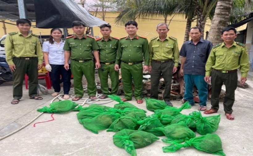 Công an xã Quách Phẩm bàn giao 22 con chồn hương cho Hạt Kiểm lâm Đầm Dơi chăm sóc theo quy định. (Ảnh: Thanh niên)