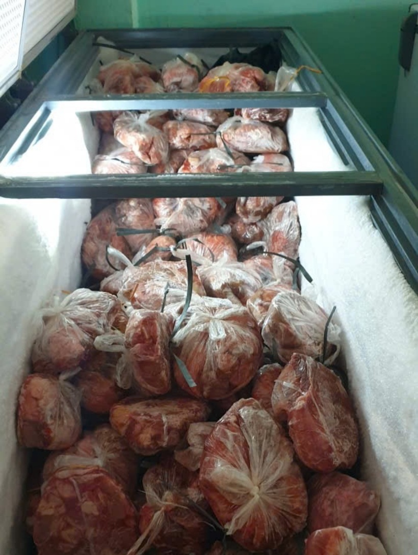 Đoàn kiểm tra đã thống nhất tiêu hủy toàn bộ số thịt heo theo quy định pháp luật. Ảnh: PLO.