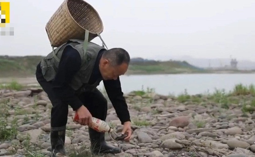Người dân làng Hà Gia Bá đổ ra bãi sông Dương Tử vào mùa khô để tìm kiếm những viên đá cuội có hoa văn độc lạ, có thể mang lại giá trị kinh tế rất cao.