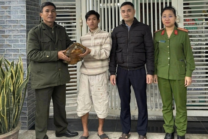 Cá thể rùa quý hiếm được bàn giao cho công an. (Ảnh: Công an phường Điện Bàn/ Dân Trí).