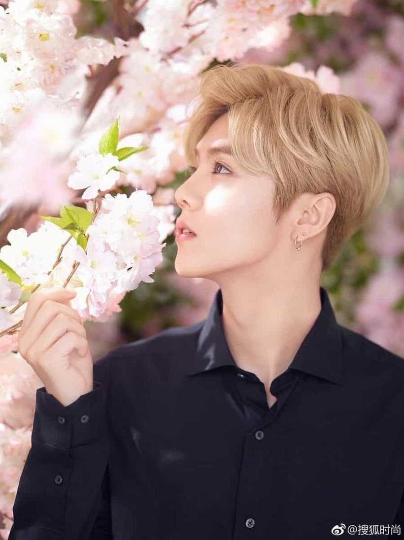 Lộc Hàm là ngôi sao chịu ảnh hưởng nặng nề nhất từ ồn ào tình ái với hot girl Tư Hiểu Địch (Ảnh: Sina).