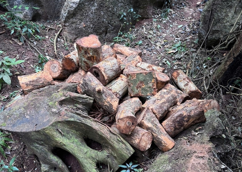 Tang vật thu giữ được tại hiện trường