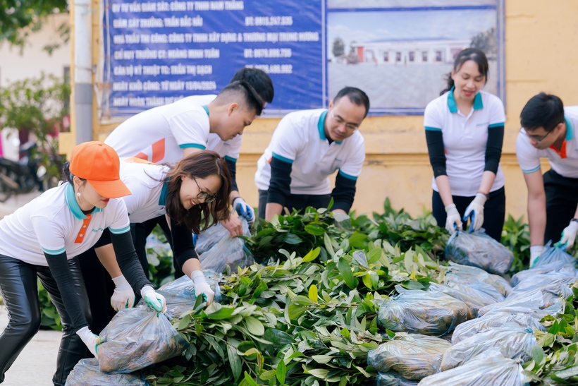 Cây quế – loại cây trồng phù hợp với điều kiện khí hậu, thổ nhưỡng của địa phương và có giá trị kinh tế, tạo sinh kế bền vững cho người dân