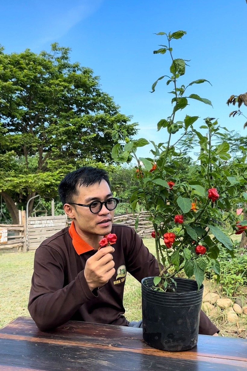 Từ anh nhân viên ngân hàng suốt ngày ngồi phòng máy lạnh, giờ đây anh Sơn trở thành nông dân chính hiệu. Ảnh: Dân trí