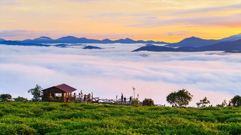 Nhắc đến đồi chè Cầu Đất, nhiều du khách cũng nghĩ ngay đến một điểm săn mây Đà Lạt lý tưởng.