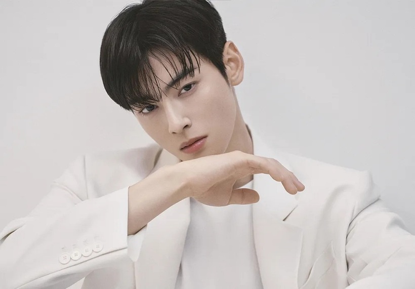 Cha Eun Woo bị nghi ngờ thành lập công ty ma để trốn thuế (Ảnh: Newsen).