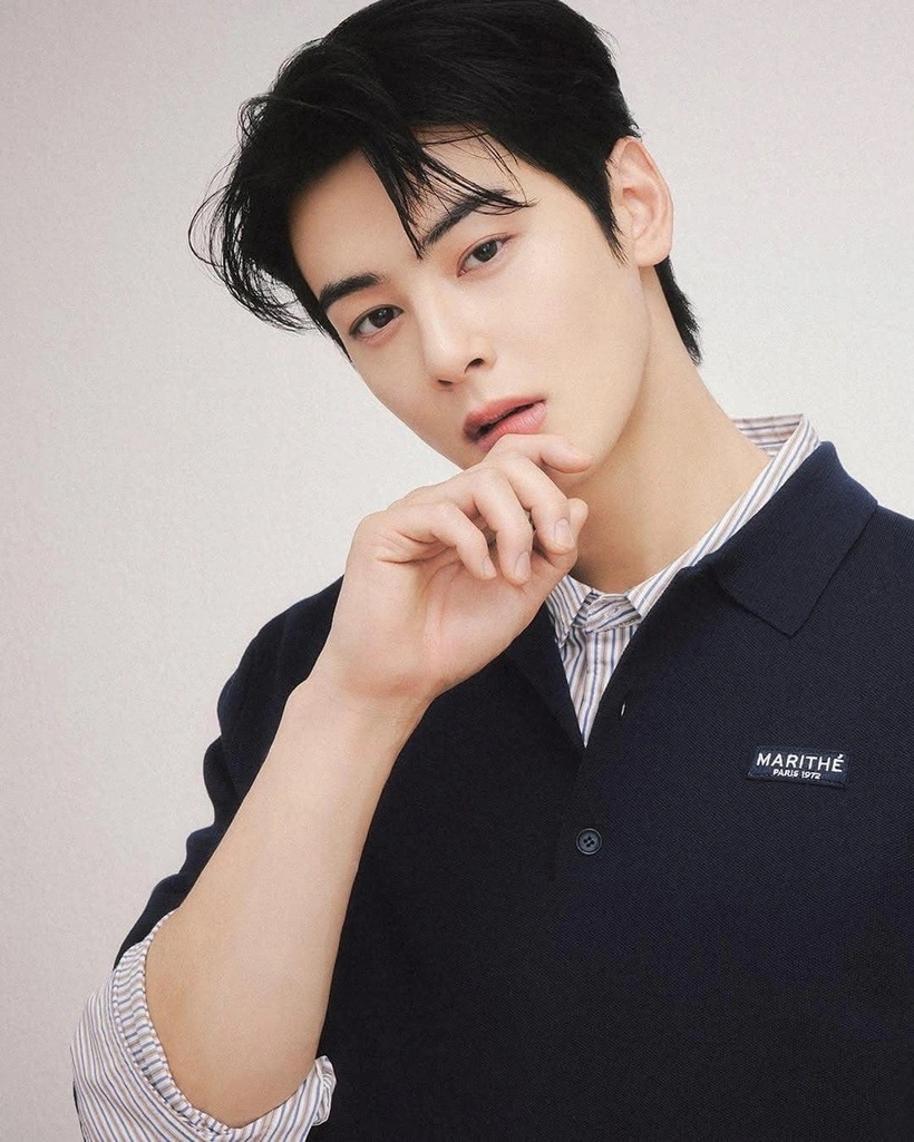 Cha Eun Woo là thành viên nhóm nhạc Astro.