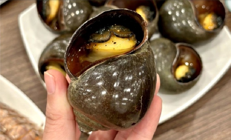 Người tiêu dùng nên mua ốc tại các cơ sở uy tín, tự sơ chế bằng nước vo gạo, giấm hoặc nước muối pha ớt để ốc nhả sạch bùn đất. Ảnh minh họa.