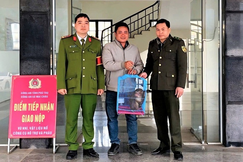 Anh C. bàn giao cá thể khỉ vàng cho cơ quan chức năng để thả về tự nhiên (Ảnh: Dân Trí)