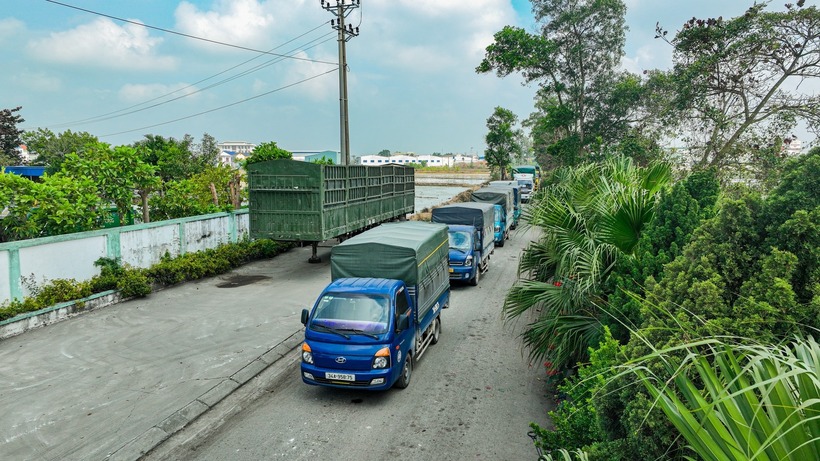 Đoàn xe chở hơn 5 tấn giá đỗ đưa đi tiêu hủy tại Công ty CP Môi trường xanh Minh Phúc, xã Kẻ Sặt, thành phố Hải Phòng. Ảnh: Báo Hải Phòng