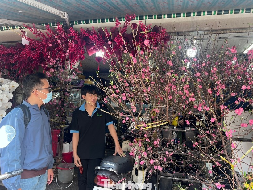 Theo Dân Việt,  nhiều người kinh doanh hoa cho biết năm nay, hoa đào các tỉnh phía Bắc về sớm hơn mọi năm. Thời điểm này là bắt đầu mùa cao điểm bán chạy hoa đào, vì người chuộng đào thường mua sớm hơn để chơi xuyên Tết.