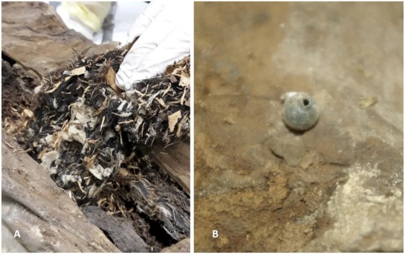 Một số vật liệu (trái) như vụn gỗ và vải lanh bên trong xác ướp "giáo sĩ phơi khô", và một quả cầu thủy tinh nhỏ (phải) nằm trong xương chậu trái. Ảnh: Andreas Nerlich