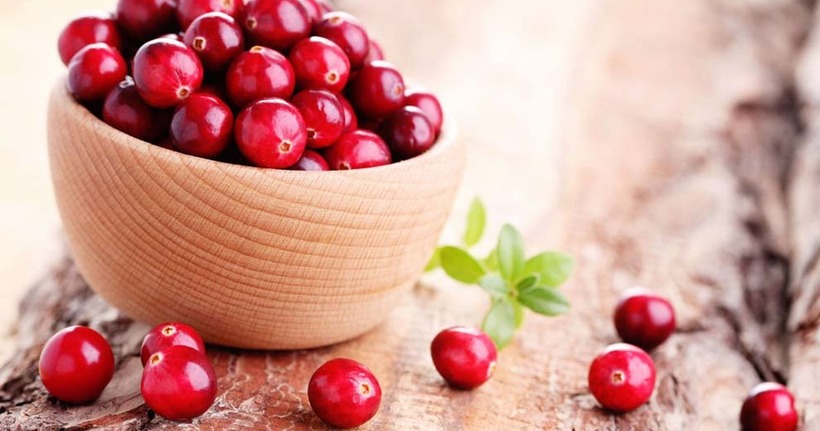 Nam việt quất từ lâu được biết đến với vai trò hỗ trợ sức khỏe đường tiết niệu.