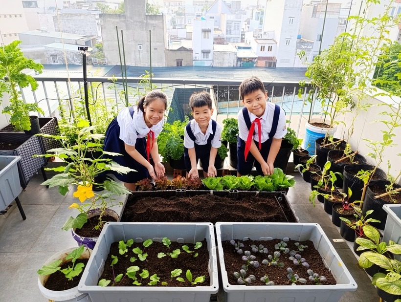 Niềm vui lớn nhất của ông bố ba con là mỗi ngày vợ không còn phải lo đi chợ mua rau, các con có nơi trải nghiệm thiên nhiên ngay tại nhà.
