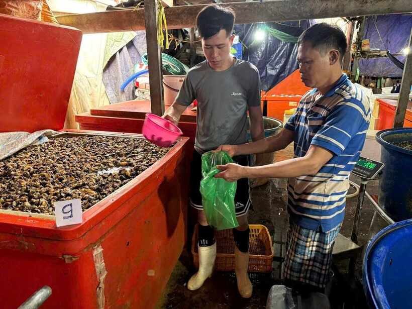 Hơn 3.000 tấn thịt ốc bươu được ngâm với hóa chất sản xuất xi măng bán ra thị trường từ năm 2021 được Công an TP.HCM phát hiện vào cuối tháng 1 vừa qua