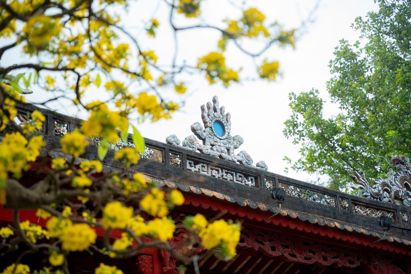 Qua đó, tạo sân chơi nghề nghiệp cho giới nghệ nhân, nhà vườn, đồng thời góp phần kết nối văn hóa - du lịch, đưa Hoàng mai Huế trở thành sản phẩm đặc trưng gắn với trải nghiệm của du khách khi đến Huế.