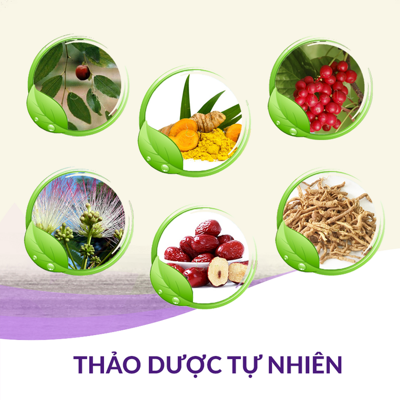 Các thảo dược hỗ trợ giúp dưỡng tâm, an thần, ngủ ngon